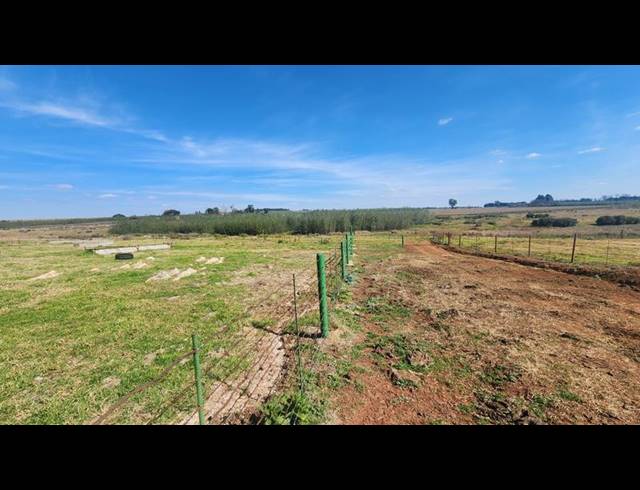 FARM FOR SALE IN WITFONTEIN